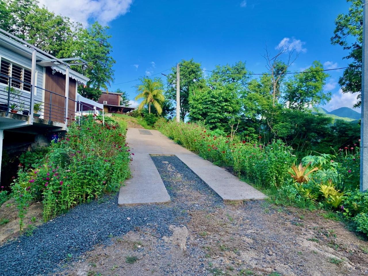 Les Gites De La Reserve Bouillante Exterior foto